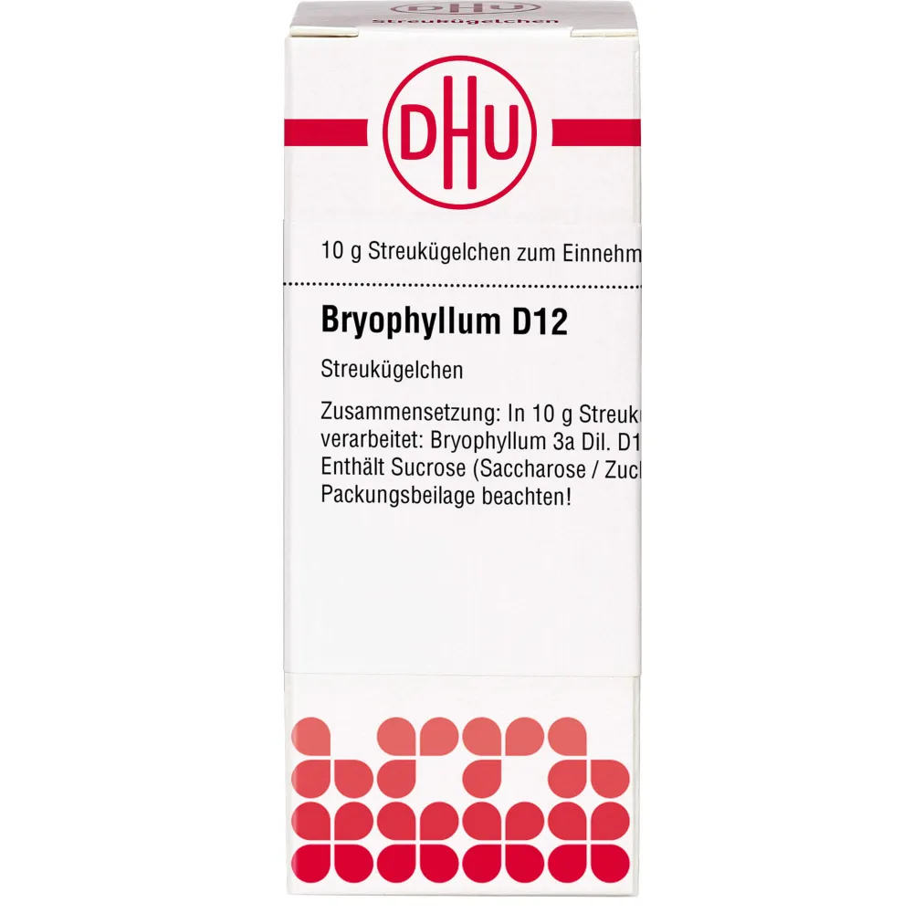 Bryophyllum D 12 Globuli 10 g