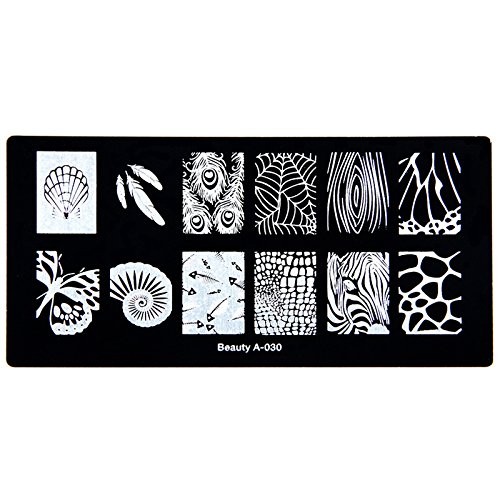 Matrita Metalica Nail Art Beauty A-30