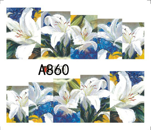 Tatuaj - A860