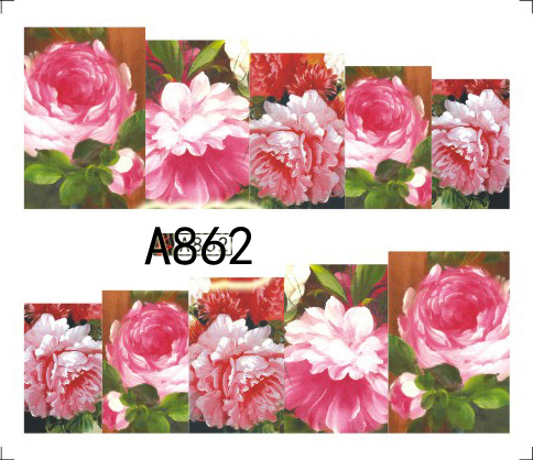 Tatuaj - A862