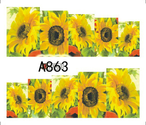 Tatuaj - A863