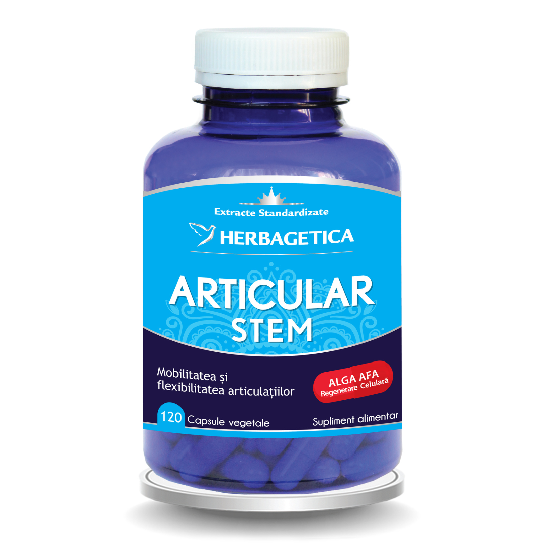 Articular Stem , 120 capsule, Herbagetica