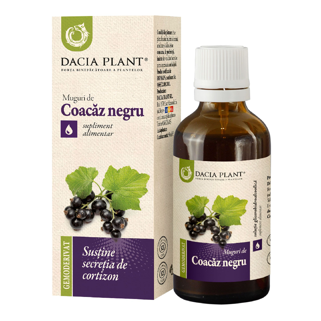 Muguri de Coacaz Negru, 50 ml, Dacia Plant