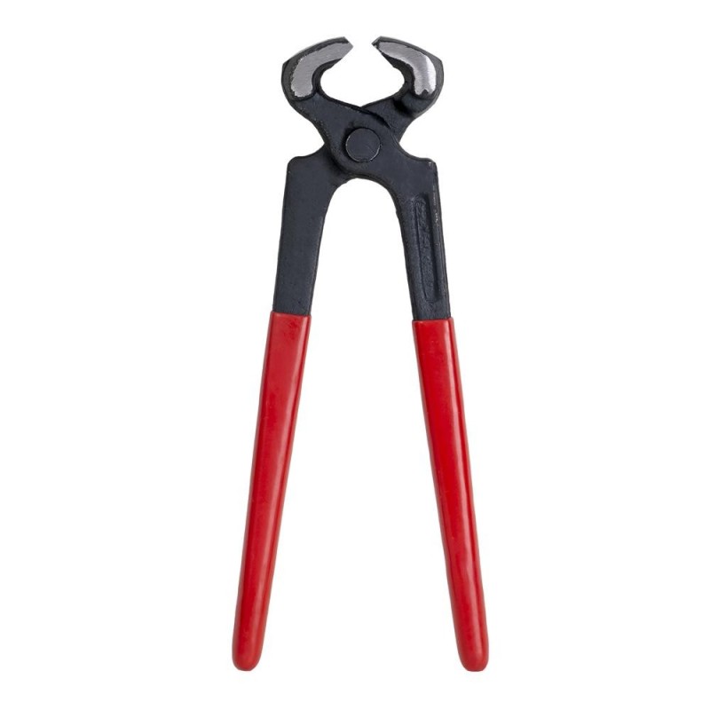 Cleste Cuie, 10 Inch, 250 mm
